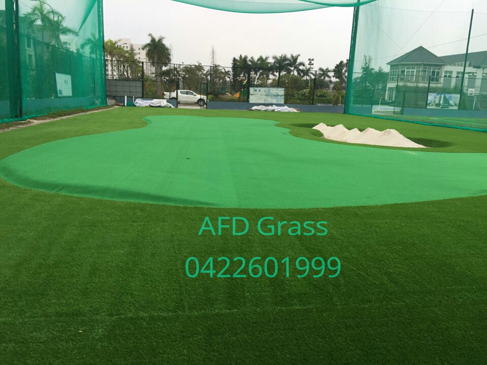 San tap golf C.E.O Quoc Oai _b3LCt → Công ty AFD grass